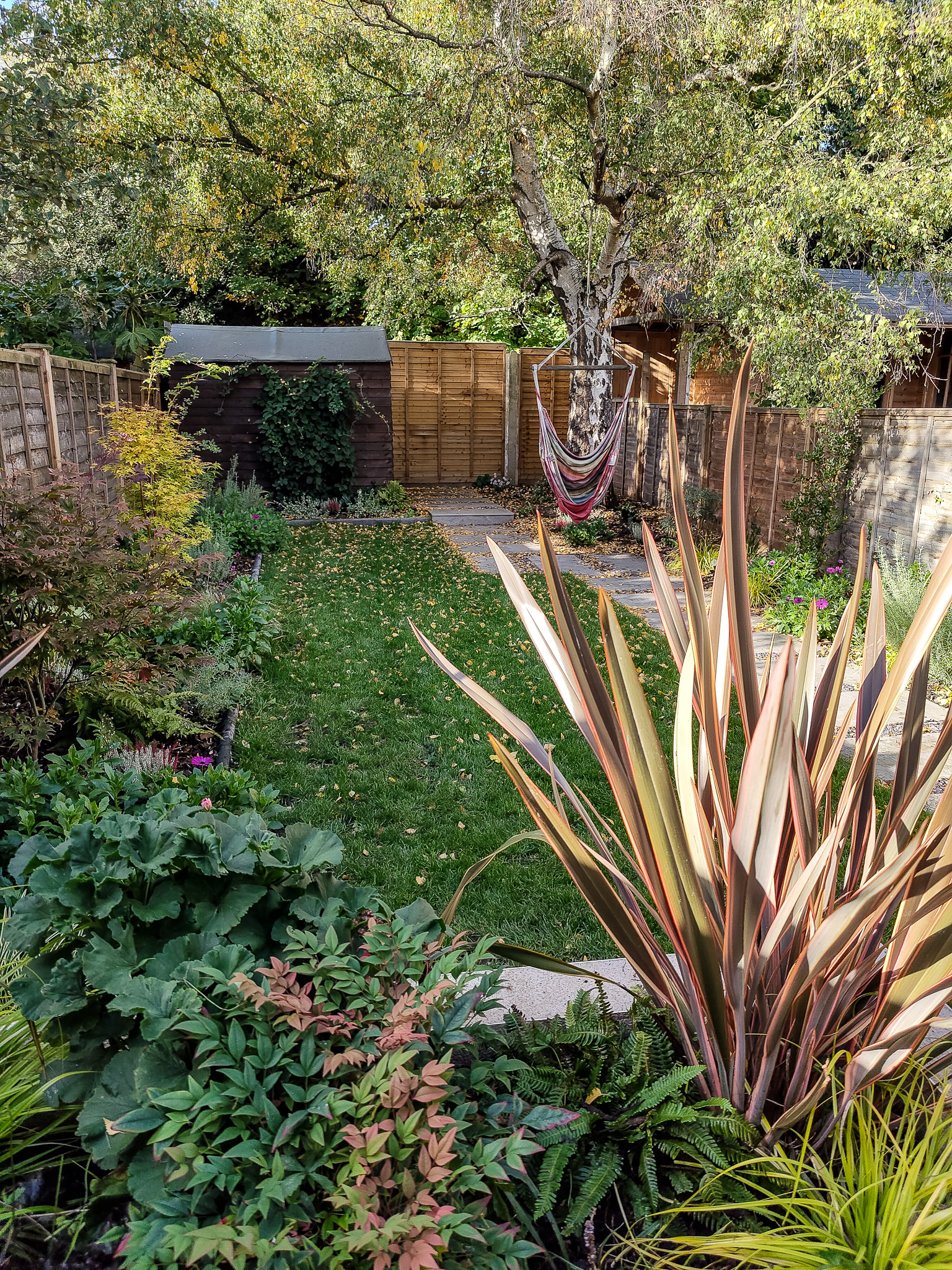 Raynes park garden with raised beds and paving, phormium, acers